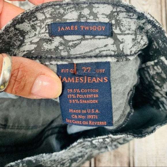 JAMES Jeans Antique Web Twiggy Pants Size 27 - Picture 5 of 8